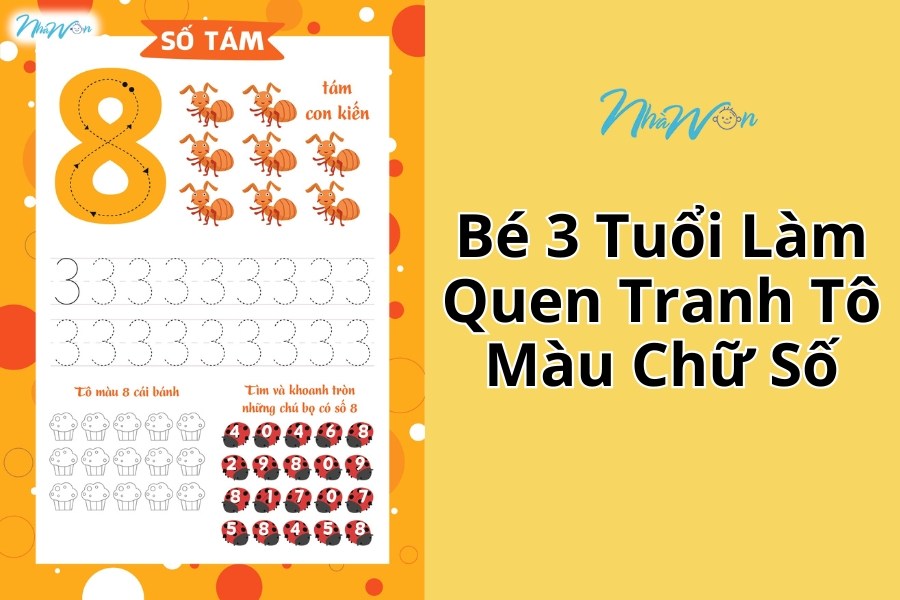 Làm quen cho bé 3 tuổi tô màu theo chữ số