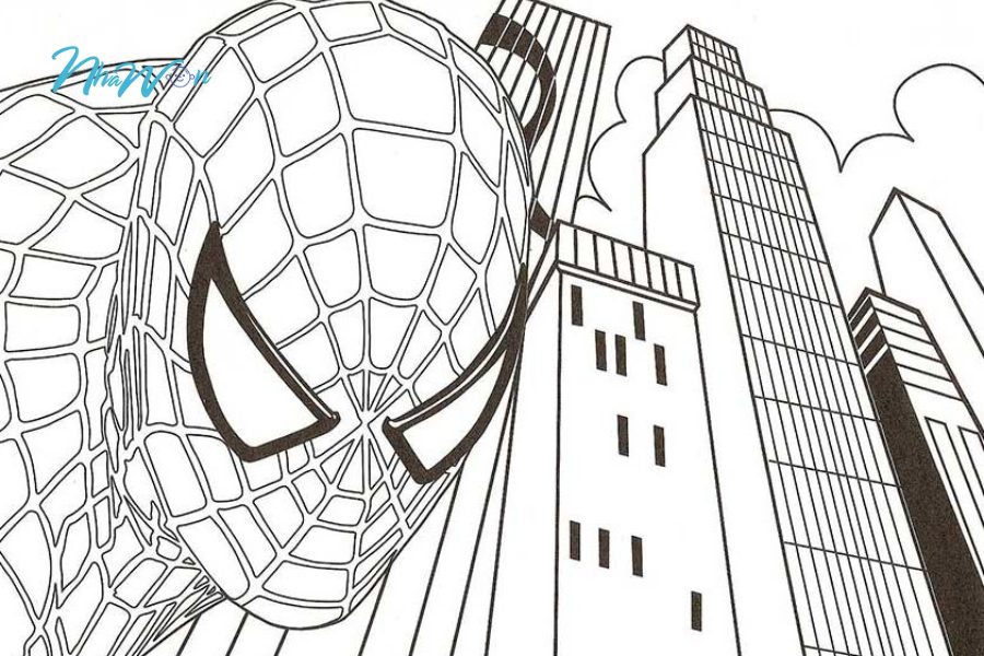 Bộ tranh tô màu spider man được yêu thích nhất