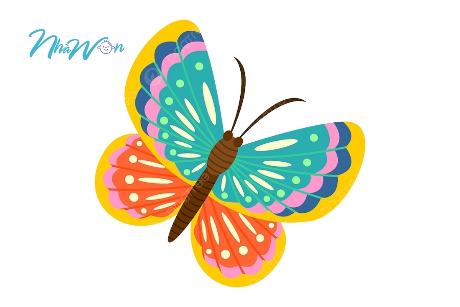 Tranh tô màu con bướm 2 tuổi