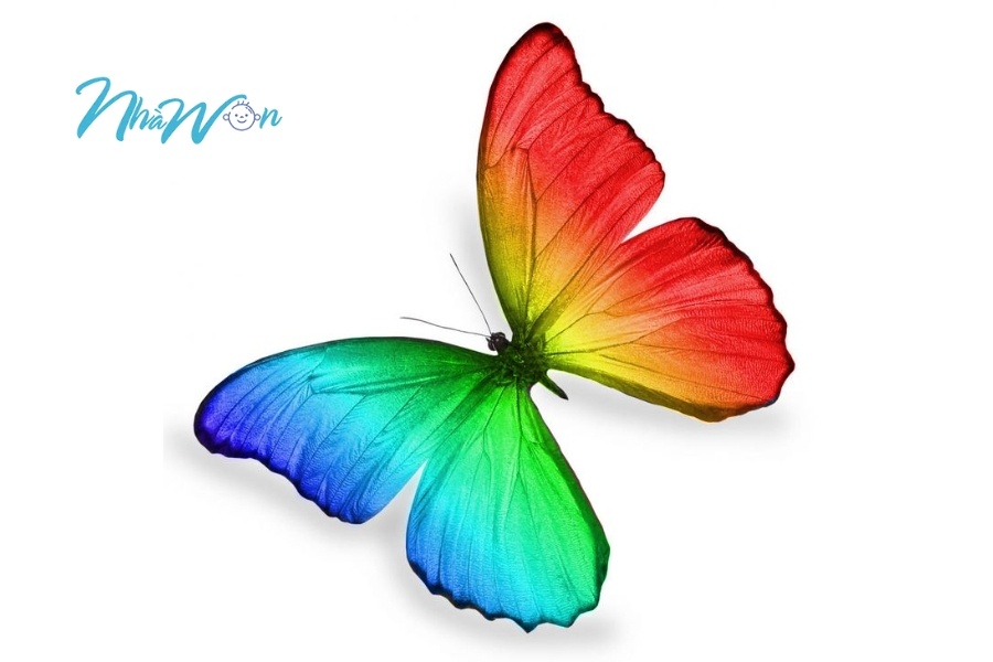 Tranh tô màu con bướm 3 tuổi