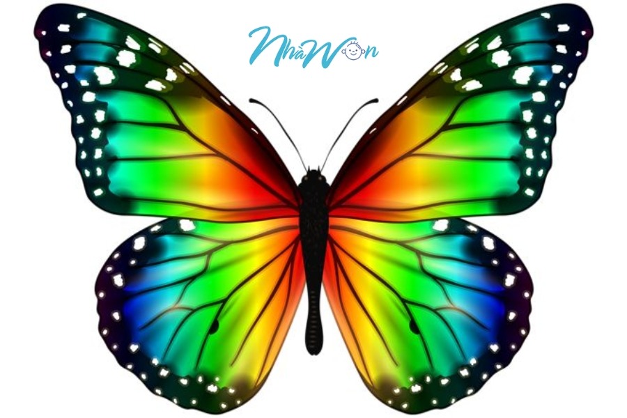 Tranh tô màu con bướm 6 tuổi