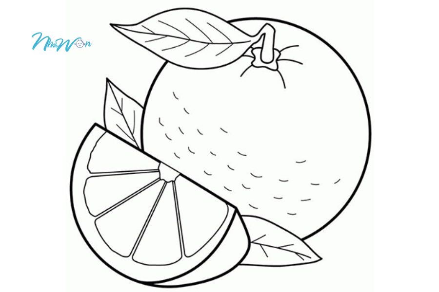 Tranh tô màu quả cam thú vị